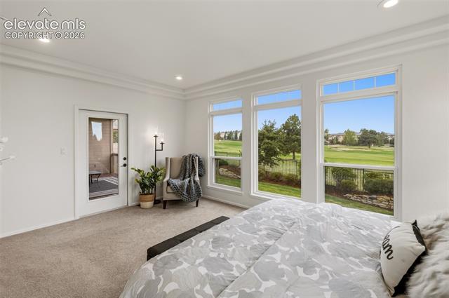 MLS Image for 3311  Silver Pine  ,Colorado Springs, Colorado