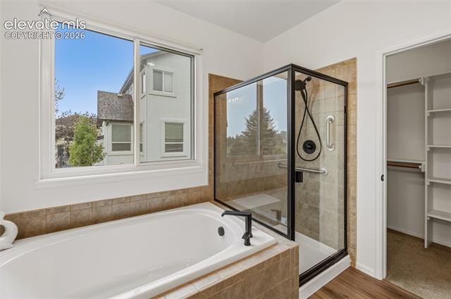 MLS Image for 3311  Silver Pine  ,Colorado Springs, Colorado