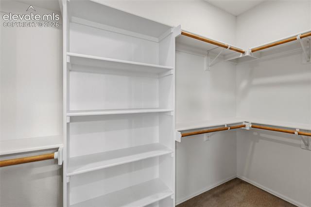 MLS Image for 3311  Silver Pine  ,Colorado Springs, Colorado