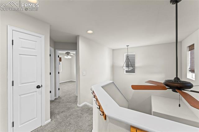 MLS Image for 11508  Black Maple  ,Colorado Springs, Colorado