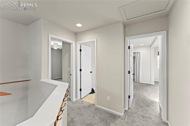 MLS Image for 11508  Black Maple  ,Colorado Springs, Colorado