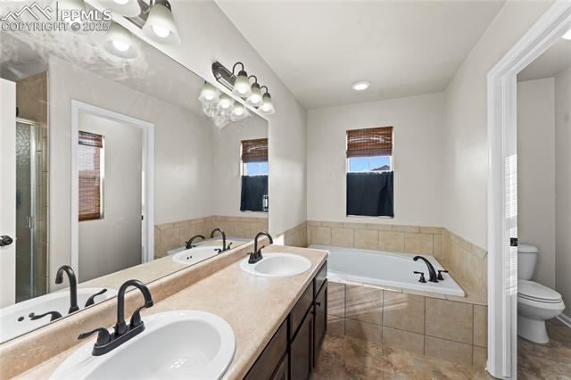 MLS Image for 11508  Black Maple  ,Colorado Springs, Colorado