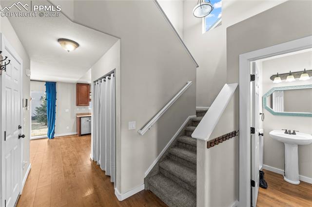MLS Image for 11508  Black Maple  ,Colorado Springs, Colorado