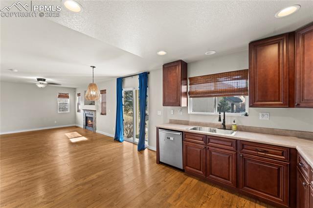 MLS Image for 11508  Black Maple  ,Colorado Springs, Colorado