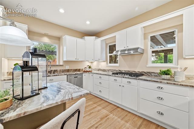 MLS Image for 1120  Shrider  ,Colorado Springs, Colorado