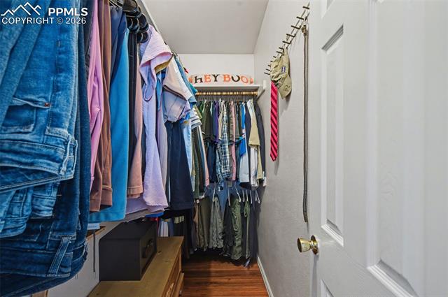 MLS Image for 4550  Borden  ,Colorado Springs, Colorado