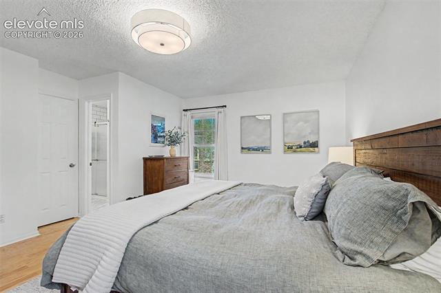 MLS Image for 540  Grey Eagle  ,Colorado Springs, Colorado