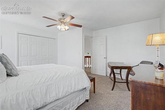 MLS Image for 540  Grey Eagle  ,Colorado Springs, Colorado