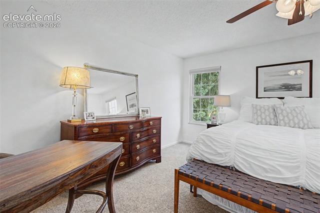 MLS Image for 540  Grey Eagle  ,Colorado Springs, Colorado