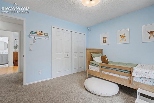 MLS Image for 540  Grey Eagle  ,Colorado Springs, Colorado