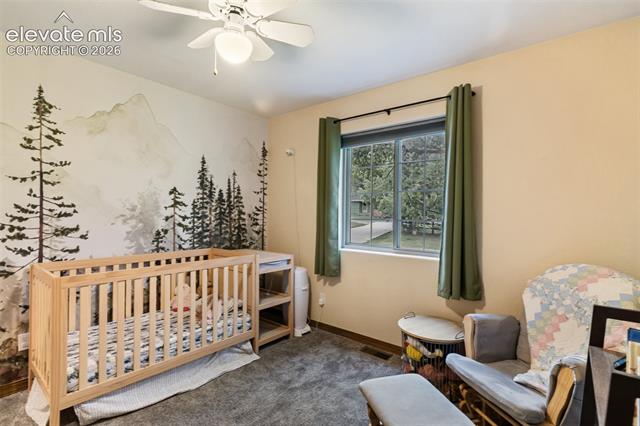 MLS Image for 500  County  ,Woodland Park, Colorado