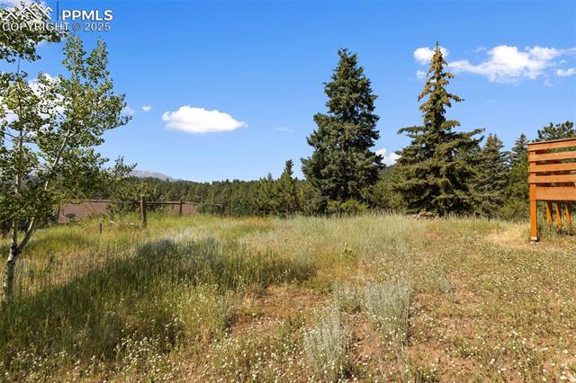 MLS Image for 305  Dewell  ,Woodland Park, Colorado