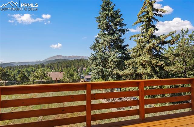 MLS Image for 305  Dewell  ,Woodland Park, Colorado