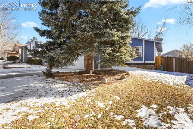 MLS Image for 5041  Iron Horse  ,Colorado Springs, Colorado