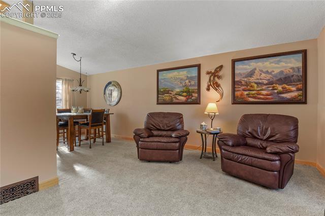 MLS Image for 5041  Iron Horse  ,Colorado Springs, Colorado