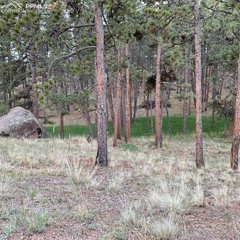 MLS Image for 696  Calle De La Nieva  ,Florissant, Colorado
