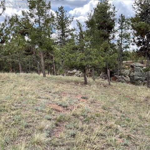 MLS Image for 696  Calle De La Nieva  ,Florissant, Colorado