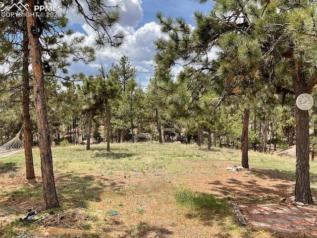 MLS Image for 696  Calle De La Nieva  ,Florissant, Colorado