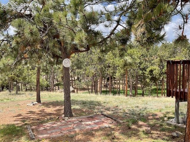 MLS Image for 696  Calle De La Nieva  ,Florissant, Colorado