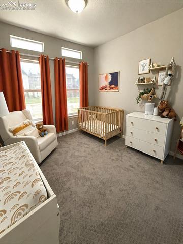 MLS Image for 6942  Green Stalk  ,Colorado Springs, Colorado