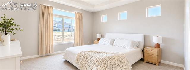 MLS Image for 6942  Green Stalk  ,Colorado Springs, Colorado