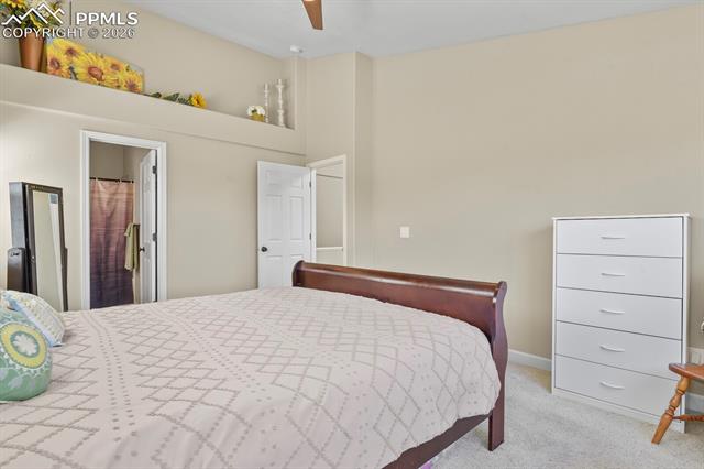 MLS Image for 4439  Cherry Oak  ,Colorado Springs, Colorado