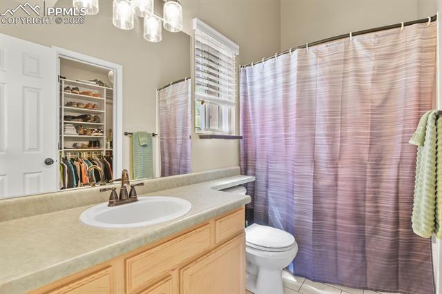MLS Image for 4439  Cherry Oak  ,Colorado Springs, Colorado