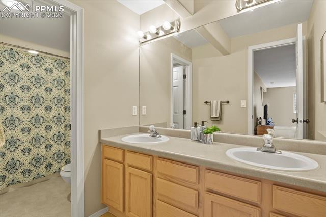 MLS Image for 4439  Cherry Oak  ,Colorado Springs, Colorado