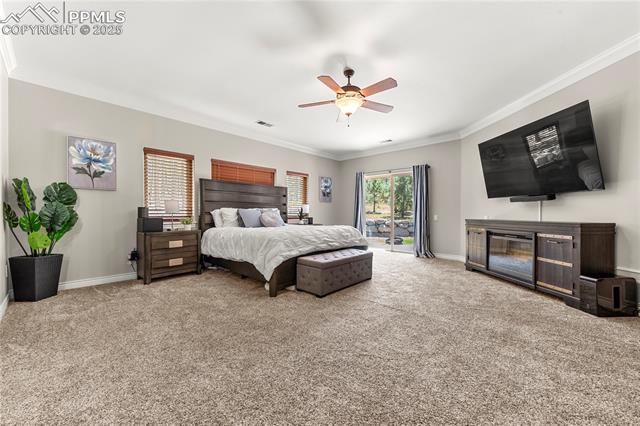 MLS Image for 15575  Winding Trail  ,Colorado Springs, Colorado
