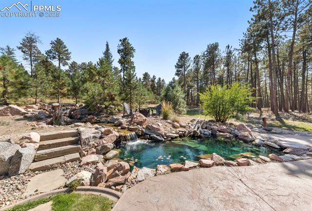 MLS Image for 15575  Winding Trail  ,Colorado Springs, Colorado