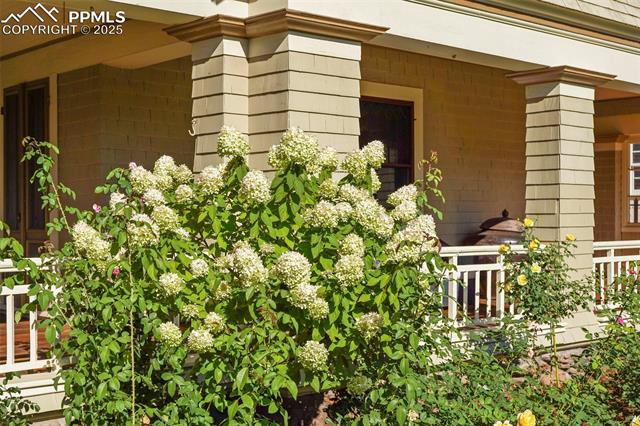 MLS Image for 2006 N Cascade  ,Colorado Springs, Colorado
