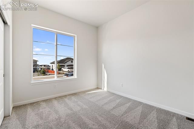 MLS Image for 8424  William Downing  ,Colorado Springs, Colorado