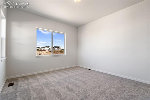MLS Image for 8424  William Downing  ,Colorado Springs, Colorado