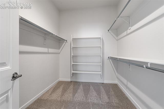 MLS Image for 8424  William Downing  ,Colorado Springs, Colorado