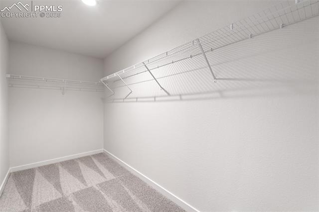 MLS Image for 8424  William Downing  ,Colorado Springs, Colorado