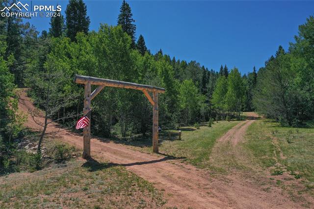 MLS Image for 600  Beaver Pond  ,Divide, Colorado