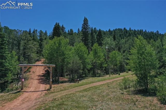 MLS Image for 600  Beaver Pond  ,Divide, Colorado