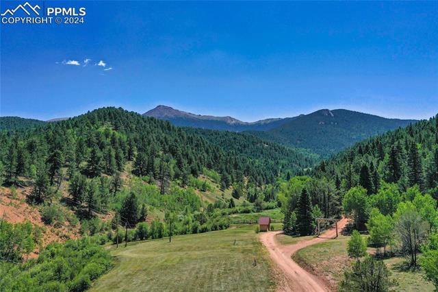 MLS Image for 600  Beaver Pond  ,Divide, Colorado