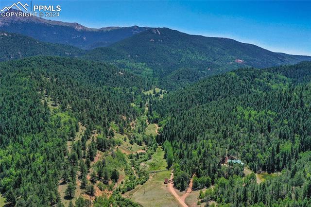 MLS Image for 600  Beaver Pond  ,Divide, Colorado