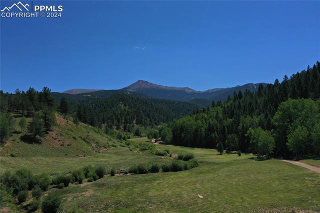 MLS Image for 600  Beaver Pond  ,Divide, Colorado