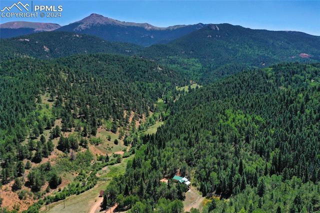 MLS Image for 600  Beaver Pond  ,Divide, Colorado