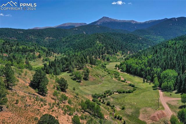 MLS Image for 600  Beaver Pond  ,Divide, Colorado