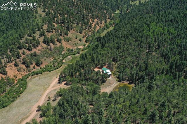 MLS Image for 600  Beaver Pond  ,Divide, Colorado