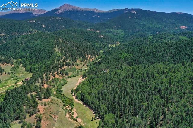 MLS Image for 600  Beaver Pond  ,Divide, Colorado