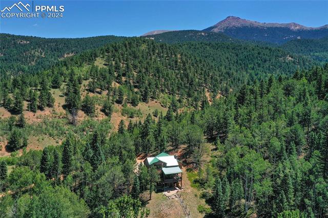 MLS Image for 600  Beaver Pond  ,Divide, Colorado