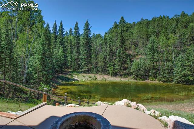 MLS Image for 600  Beaver Pond  ,Divide, Colorado