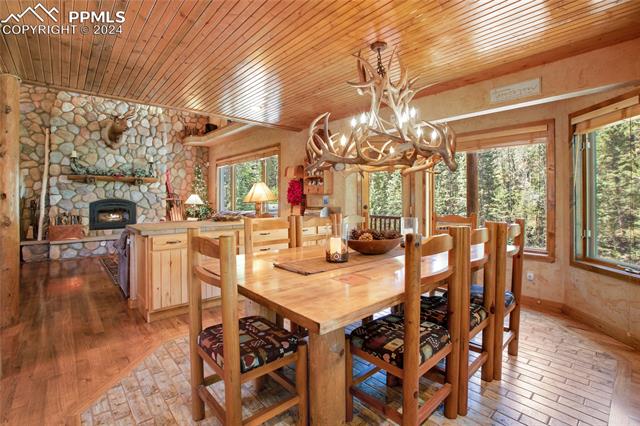 MLS Image for 600  Beaver Pond  ,Divide, Colorado