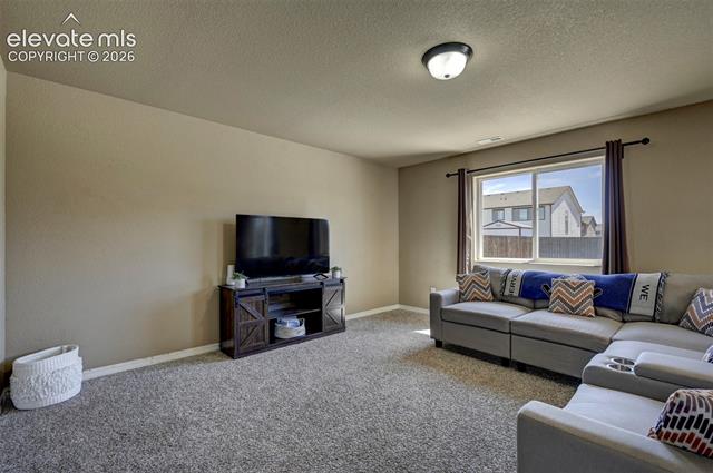 MLS Image for 3641  Desert Willow  ,Colorado Springs, Colorado