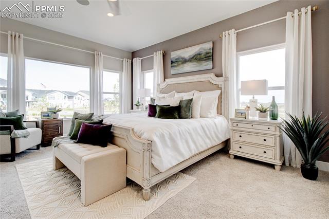 MLS Image for 10725  Morning Hills  ,Peyton, Colorado
