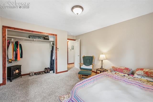 MLS Image for 281  Mesa  ,Florissant, Colorado